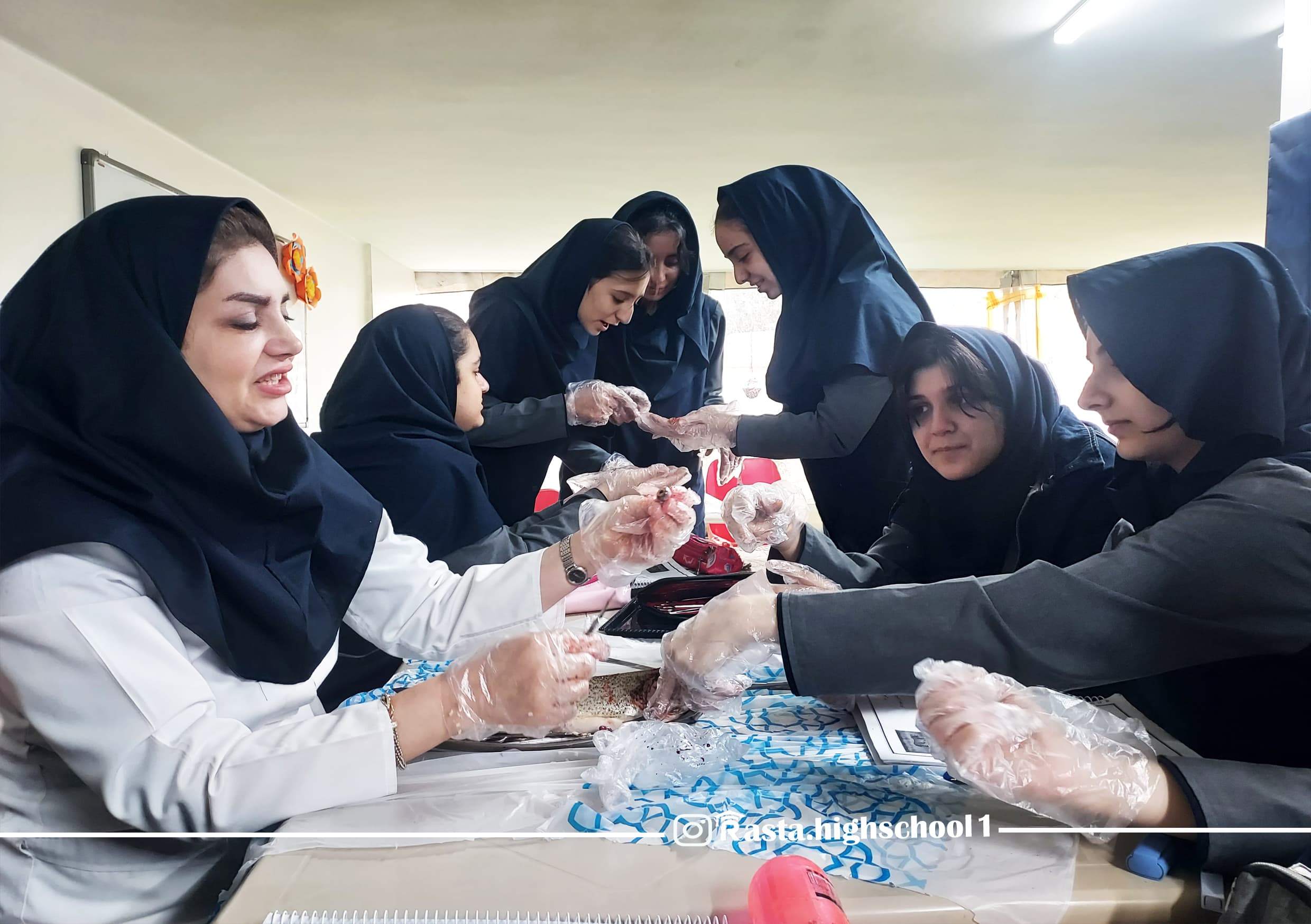 زنگ زیست شناسی نهم ( تشریح ماهی ) 